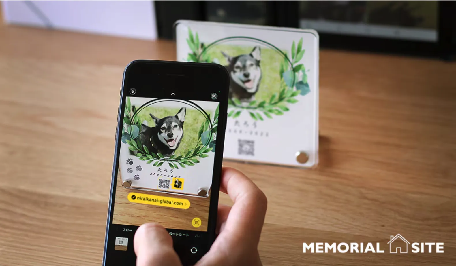 オプションメニュー soloio