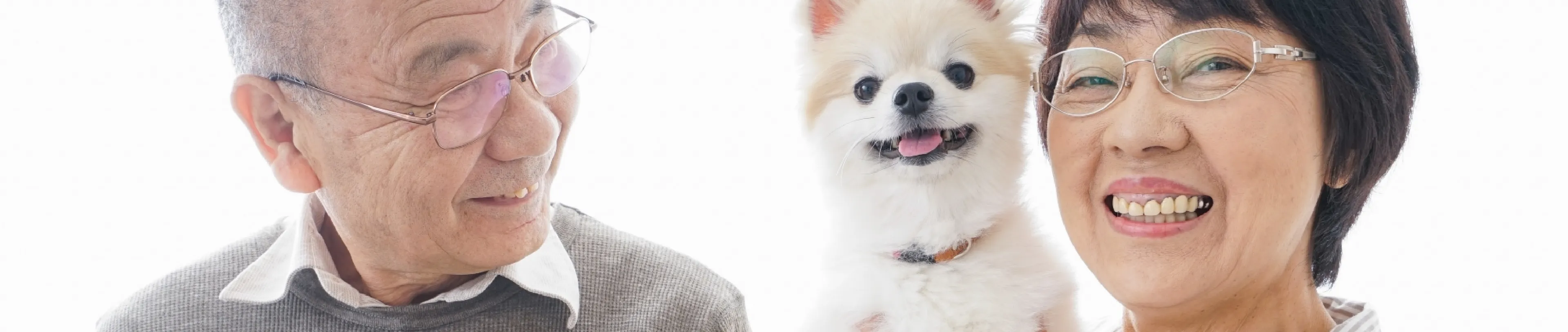 家族貸切プラン