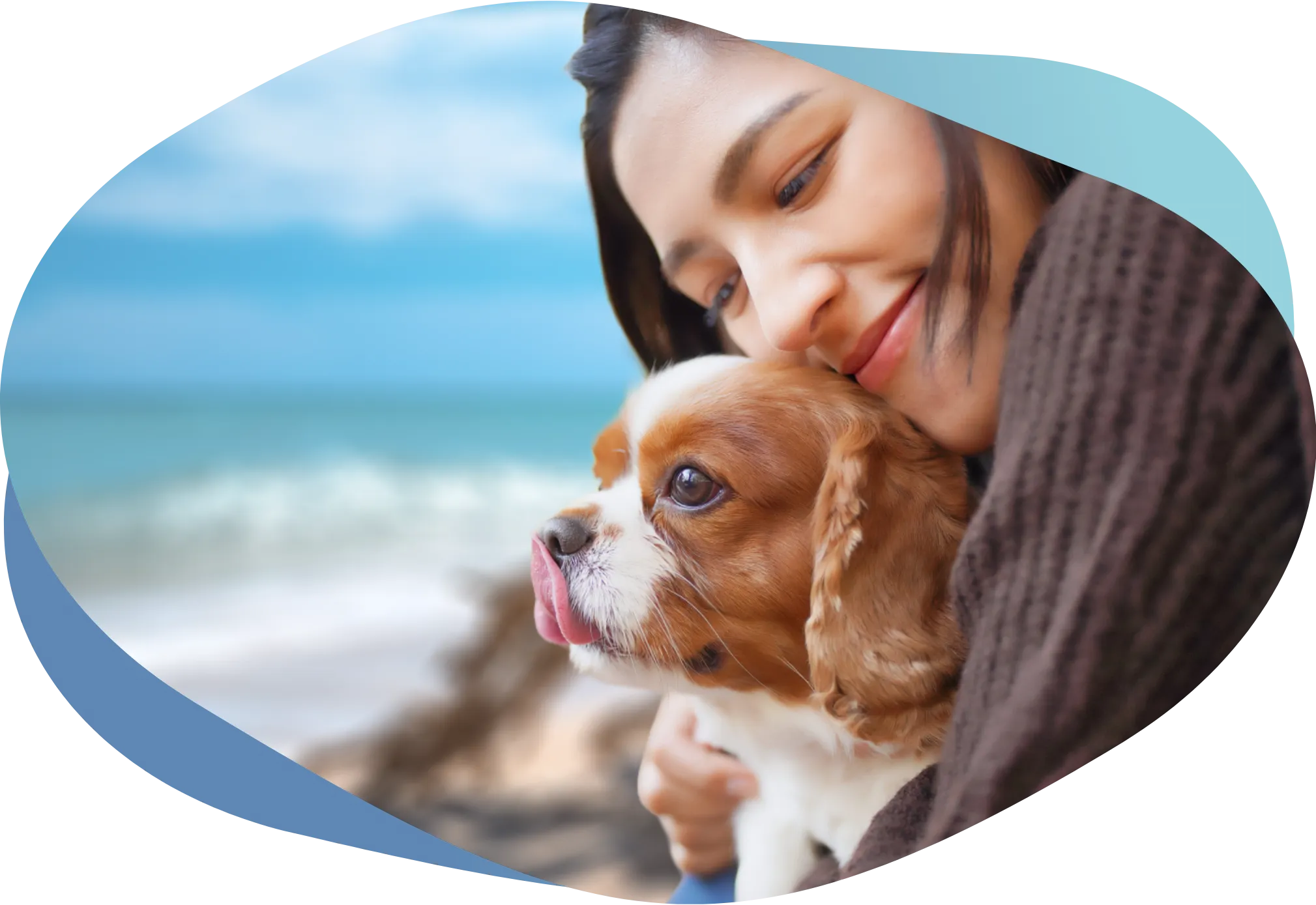 エルカペットについて