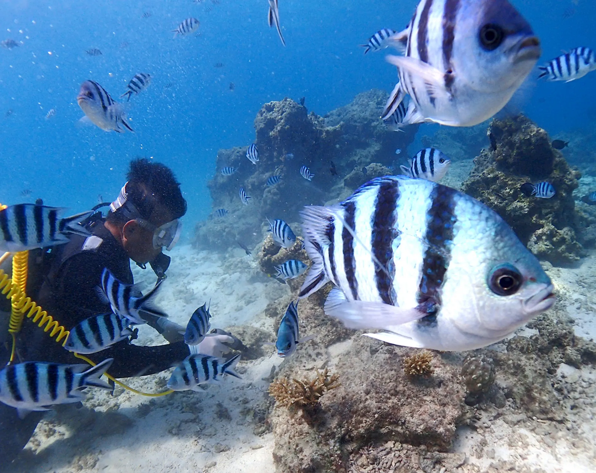 スライダー画像2