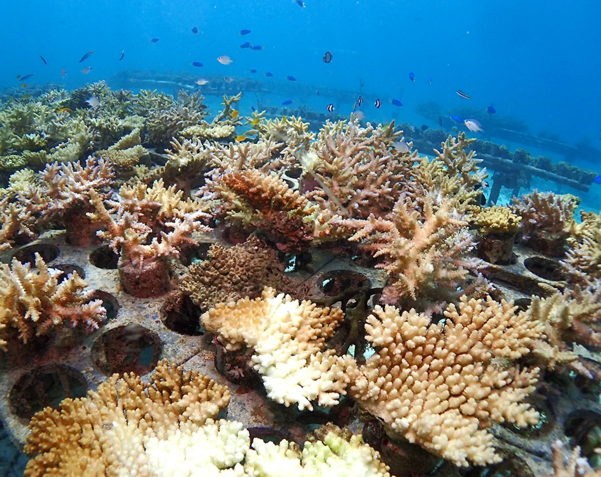 スライダー画像3