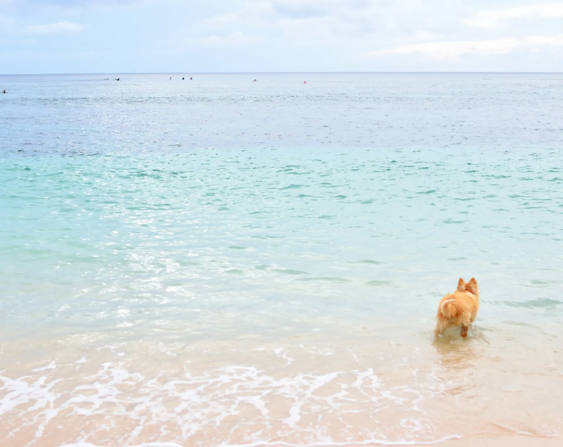 スライダー画像1